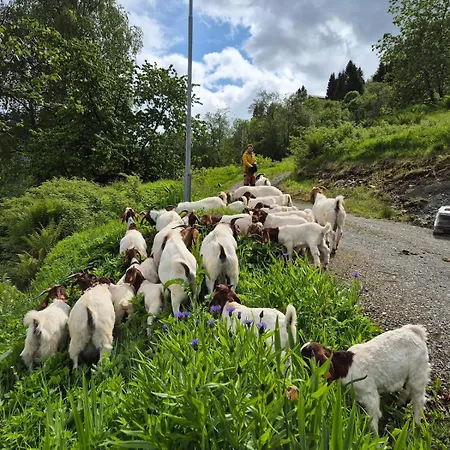 Apartman Granli-apartment Stryn