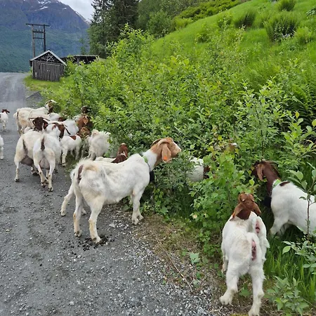 Granli-apartment Lägenhet Stryn